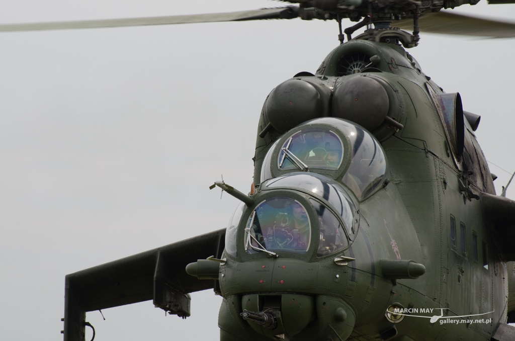 PiknikLeszno2014-zdj048-DSC_4635