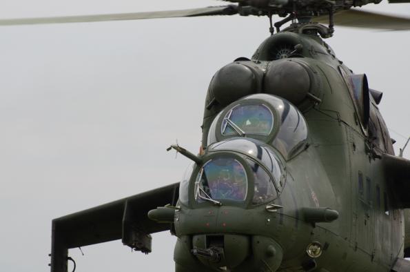 PiknikLeszno2014-zdj048-DSC_4635