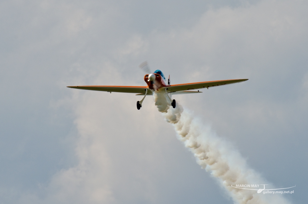 PiknikLeszno2014-zdj053-DSC_4973