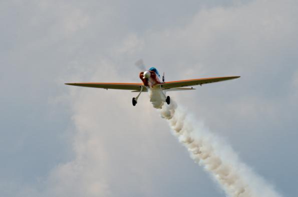 PiknikLeszno2014-zdj053-DSC_4973