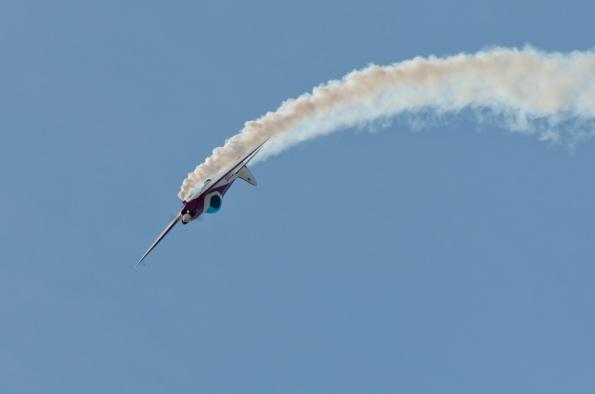 PiknikLeszno2014-zdj054-DSC_4984