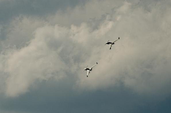 PiknikLeszno2014-zdj063-DSC_5154