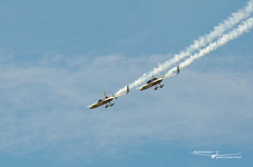 PiknikLeszno2014-zdj066-DSC_5174