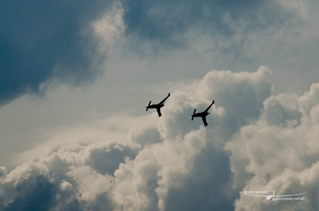 PiknikLeszno2014-zdj068-DSC_5276