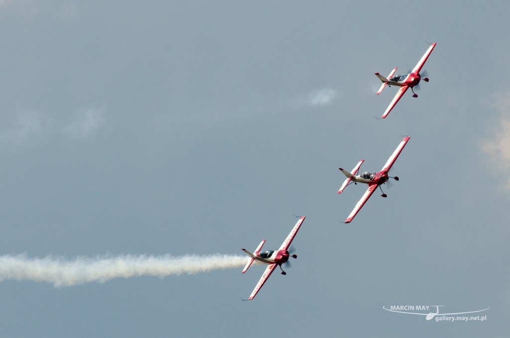 PiknikLeszno2014-zdj073-DSC_5397