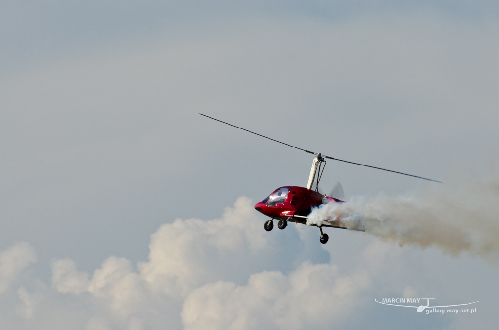 PiknikLeszno2014-zdj083-DSC_5607