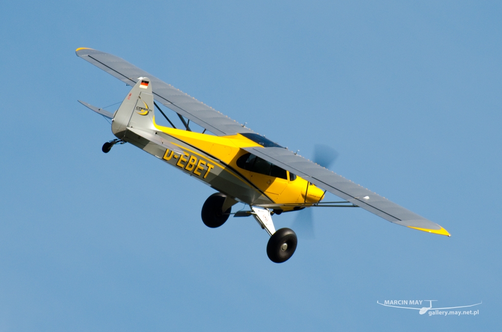 PiknikLeszno2014-zdj087-DSC_5769