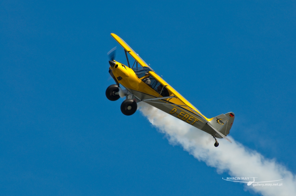 PiknikLeszno2014-zdj088-DSC_5800