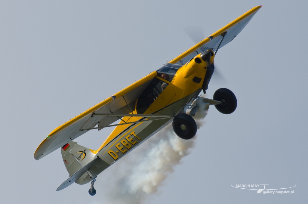 PiknikLeszno2014-zdj089-DSC_5854