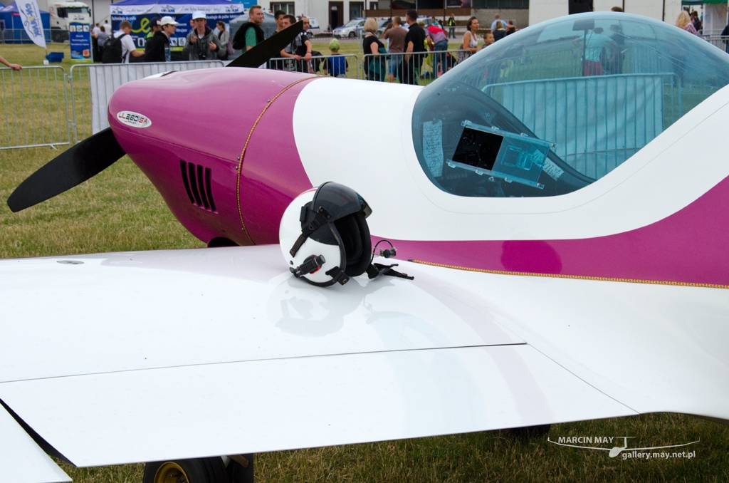 PiknikLeszno2014-zdj097-DSC_5923