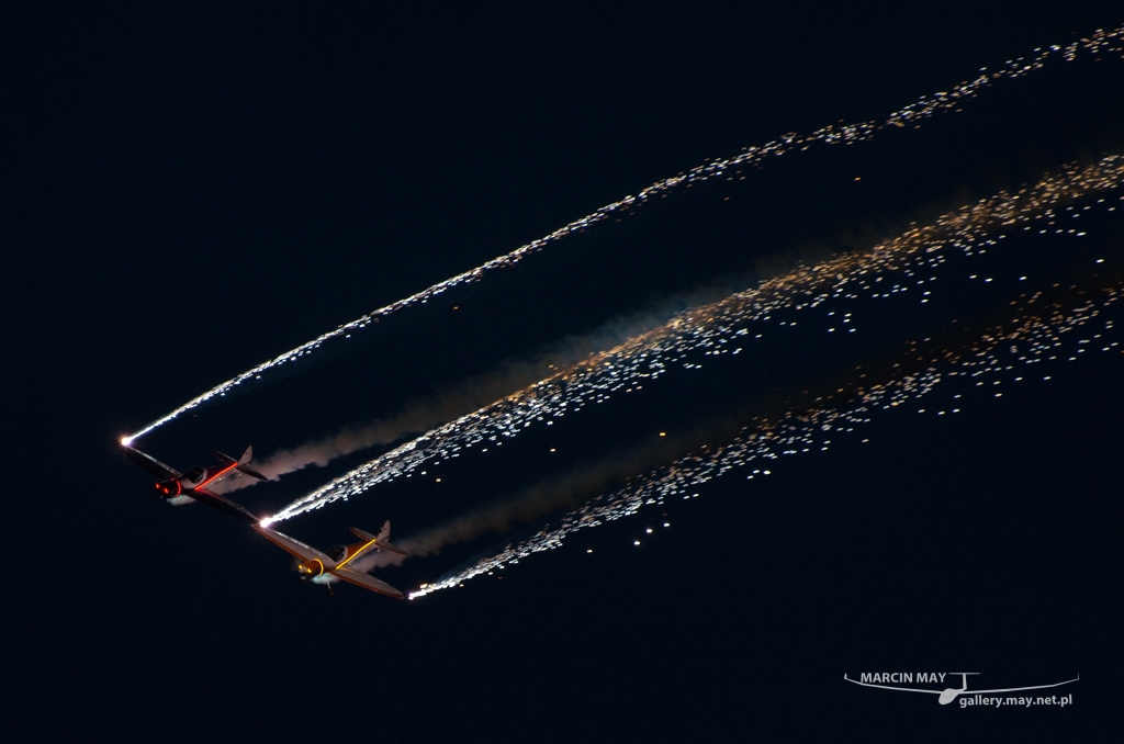 PiknikLeszno2014-zdj108-DSC_6261