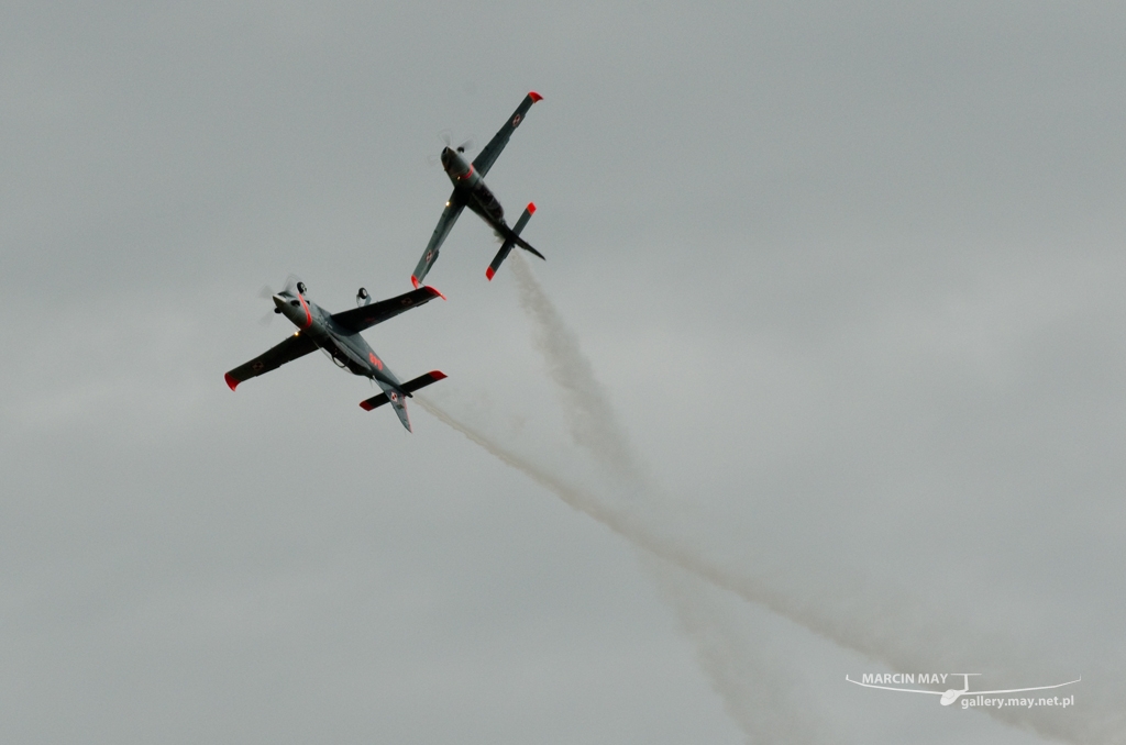 PiknikLeszno2014-zdj110-DSC_6666