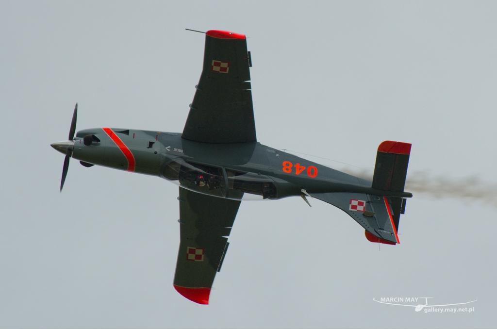 PiknikLeszno2014-zdj111-DSC_6778