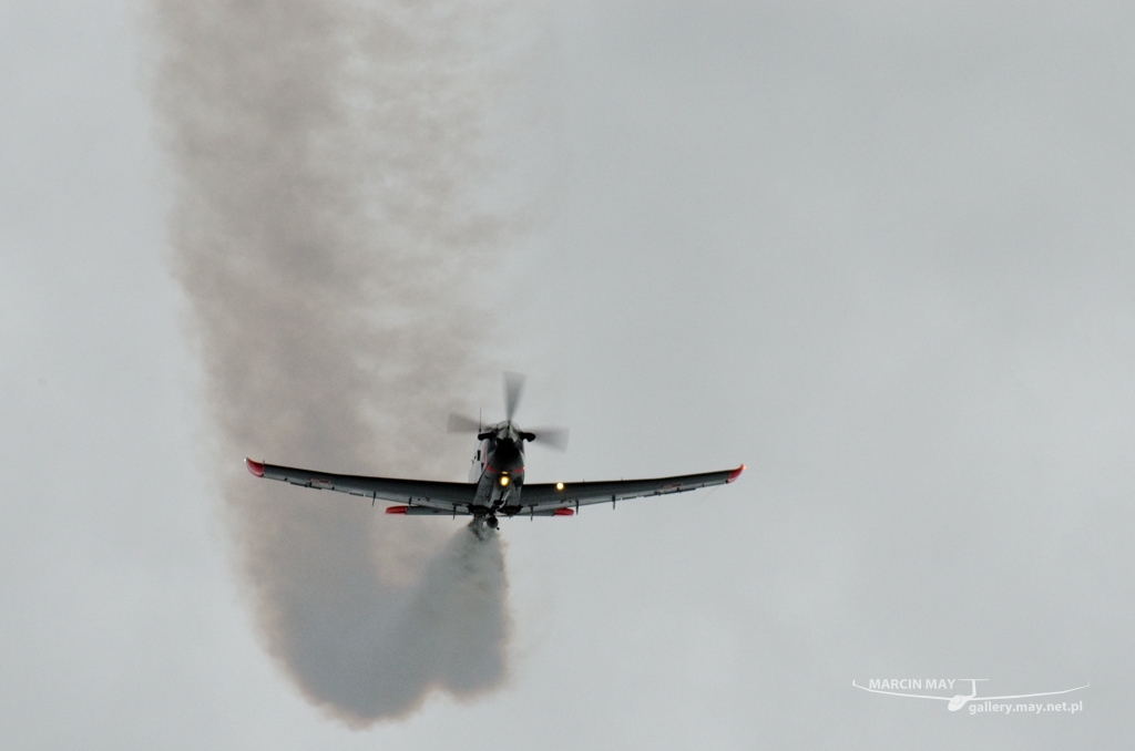 PiknikLeszno2014-zdj112-DSC_6788