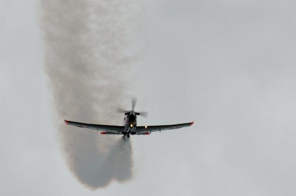 PiknikLeszno2014-zdj112-DSC_6788