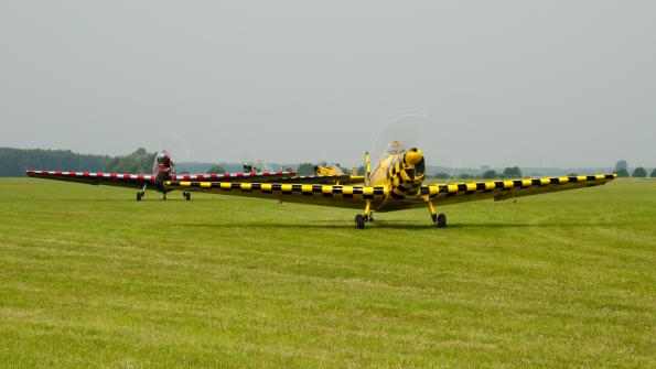 piknikleszno2015_zdj-004-DSC_7788