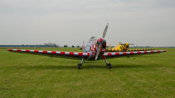 piknikleszno2015_zdj-006-DSC_7818