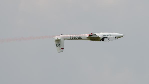 piknikleszno2015_zdj-034-DSC_8388