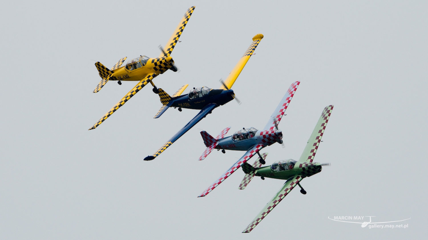 piknikleszno2015_zdj-042-DSC_8576