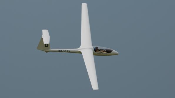 piknikleszno2015_zdj-045-DSC_8699