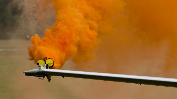 piknikleszno2015_zdj-066-DSC_9767