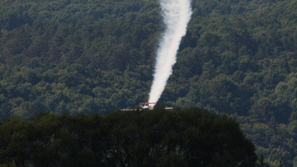 SIAF2015_zdj-152-DSC_7505