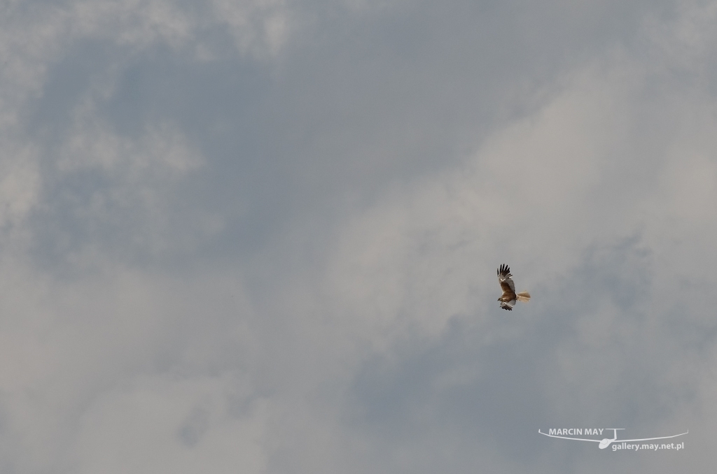 JWGC-2013_day03_zdj-09-DSC_3248