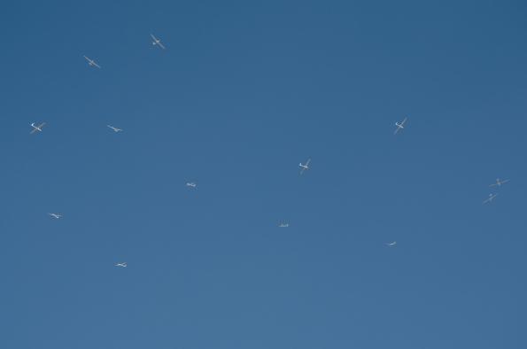 JWGC-2013_day05_zdj-80-DSC_6485