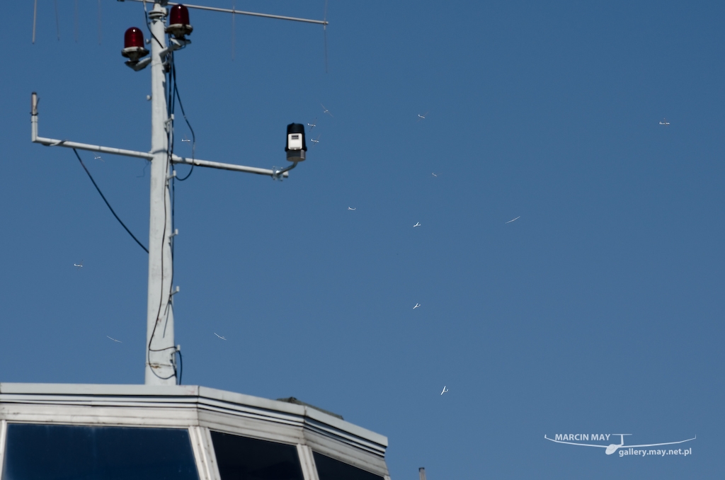 JWGC-2013_day05_zdj-84-DSC_6608