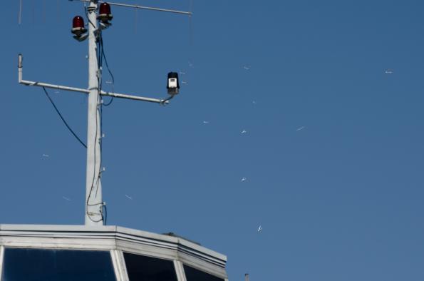 JWGC-2013_day05_zdj-84-DSC_6608