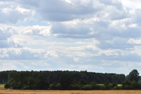 SMP2011-06-25-zdj005-DSC_0275