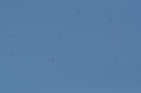 SMP2011-06-28-zdj033-DSC_0535