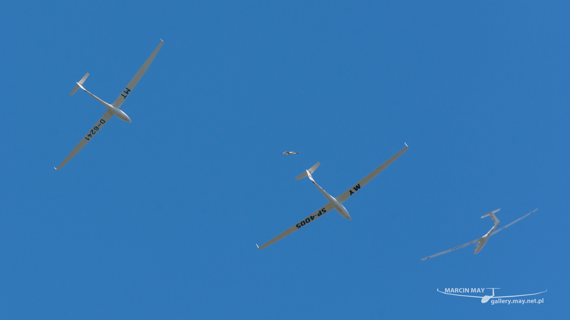 SMP_Leszno_2022_046-DSC_9545