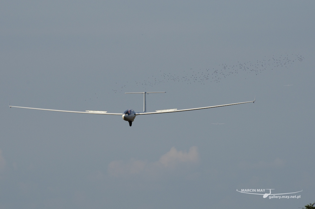 WGC2014-06-08-2014-zdj162-DSC_2023