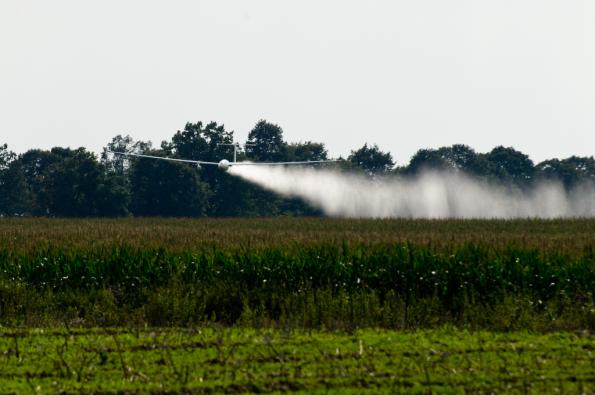 WGC2014-08-08-2014-zdj072-DSC_4378