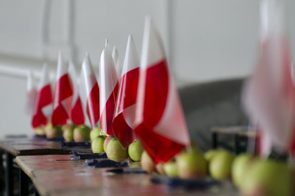 WGC2014-02-08-2014-zdj001-DSC_7764