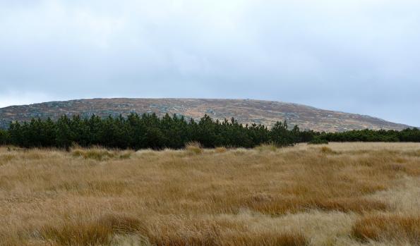 Karkonosze-zdj025-P1020314