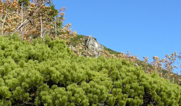 Karkonosze-zdj051-P1020601