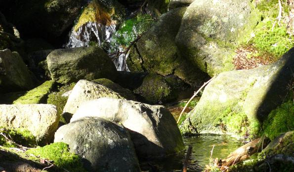 Karkonosze-zdj055-P1020619