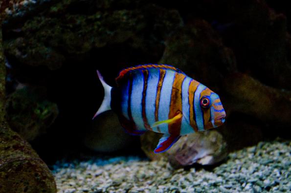 Morsky-svet-Praha-zdj004-DSC_7146