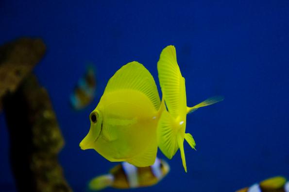 Morsky-svet-Praha-zdj034-DSC_7415