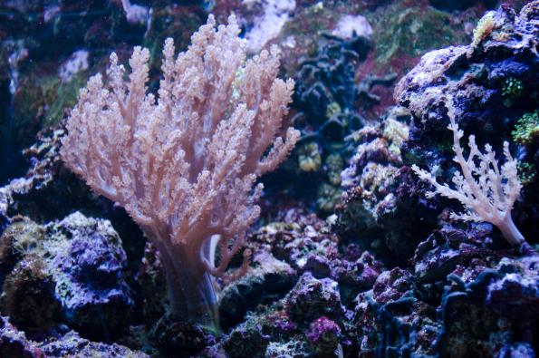 Morsky-svet-Praha-zdj046-DSC_7478