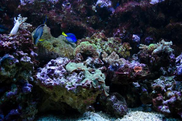 Morsky-svet-Praha-zdj048-DSC_7493