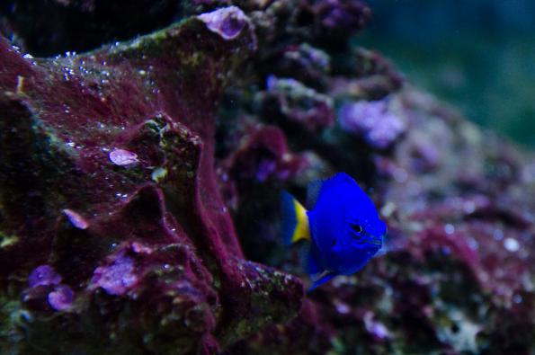 Morsky-svet-Praha-zdj055-DSC_7548