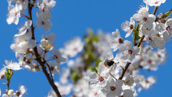 Stawy_Milickie-DSC_4161